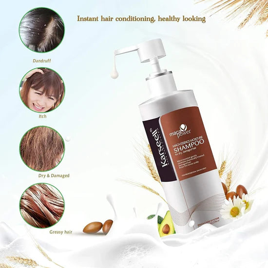 Karseell Argan Oil Hair Treatment Shampoo - Herbal Extract Moisturizing Deep Repair For Dry & Damaged Hair 16.9Oz 500ml