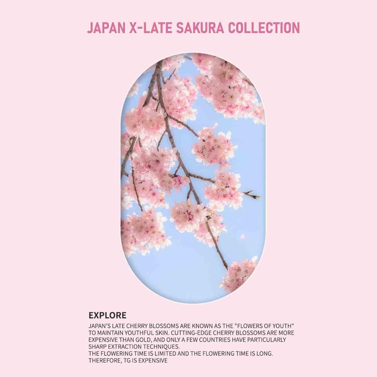 Sakura Gluta Underarm Whitening Cream,Intimate Area Skin Lightening Cream