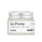 Refresh AHA BHA Vitamin C Lip Plumper